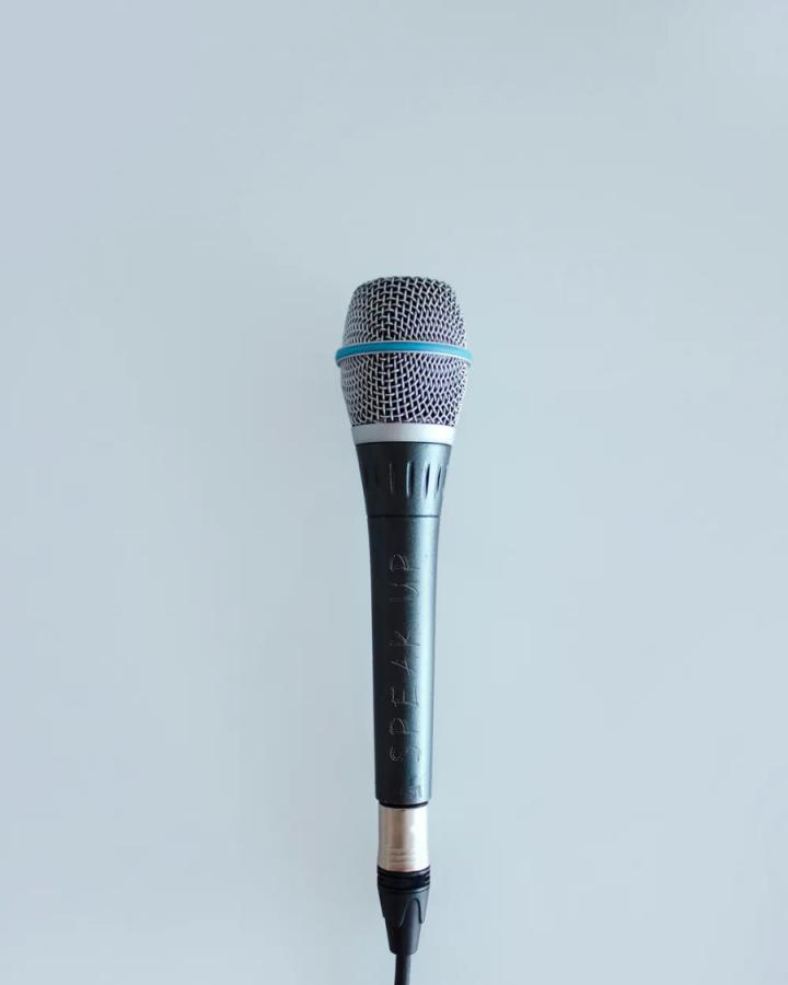 Stage Dynamic Vocal Microphone