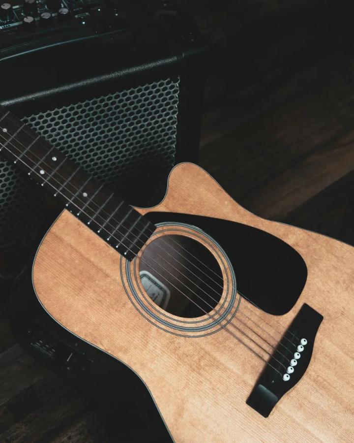 Acoustic 30 Amplifier