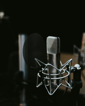 LD-1 Large-Diaphragm Condenser Microphone
