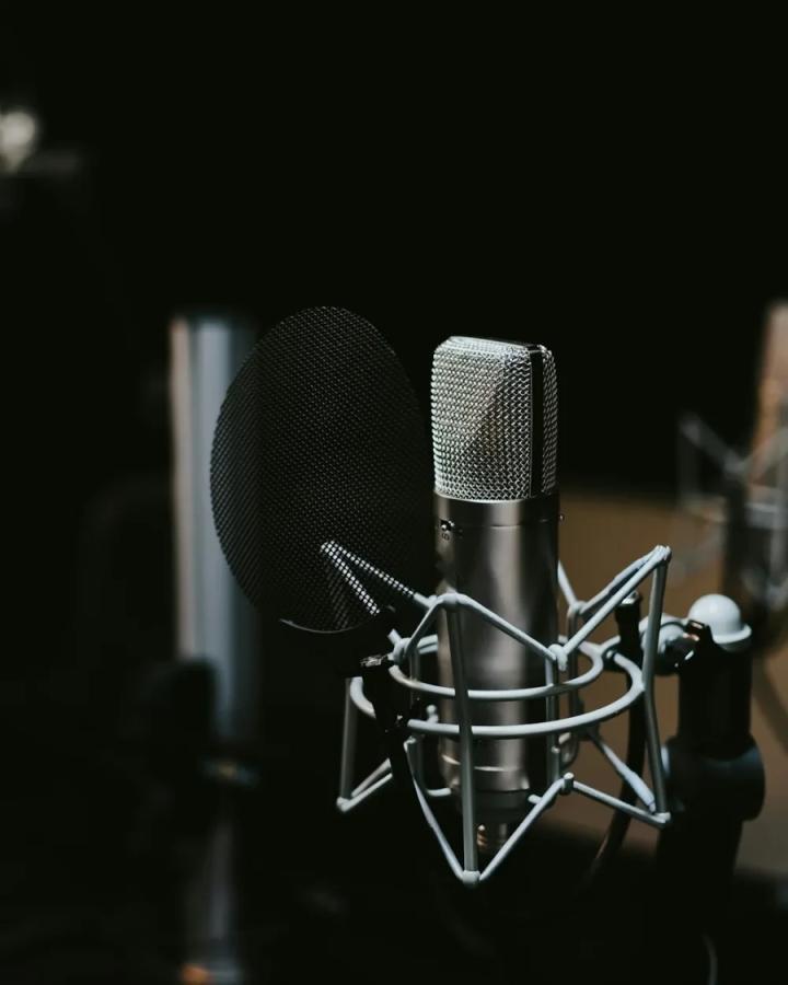 LD-1 Large-Diaphragm Condenser Microphone