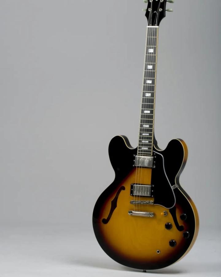 Lakeshore Semi-Hollow Electric