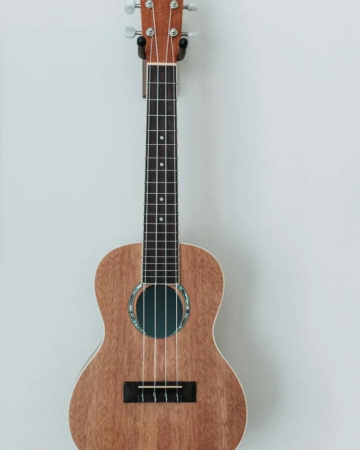 Concert Ukulele, Solid Mahogany Top