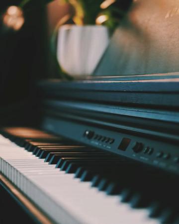 Studio 88 Digital Piano